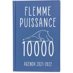 Agenda scolaire Premium Flemme 2021 2022