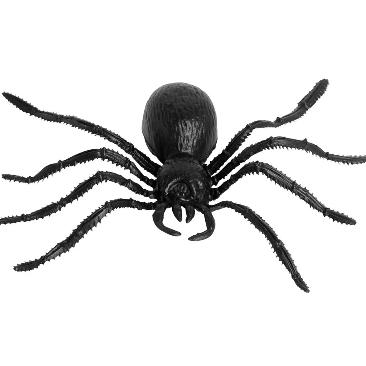 Araignée noire Halloween x2