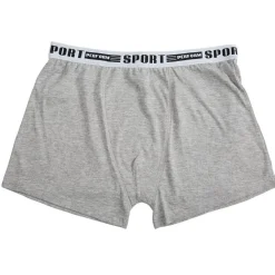 Boxer Homme x4