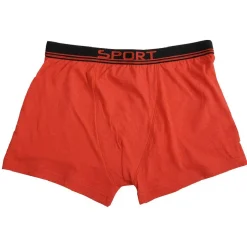 Boxer Homme x4