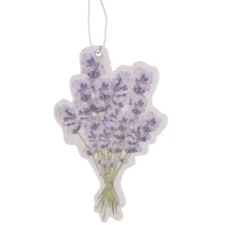 Carte désodorisante pour véhicule