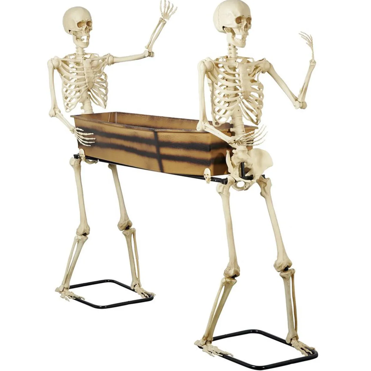 Cercueil XXL maintenu par 2 squelettes L175xl45xH150cm