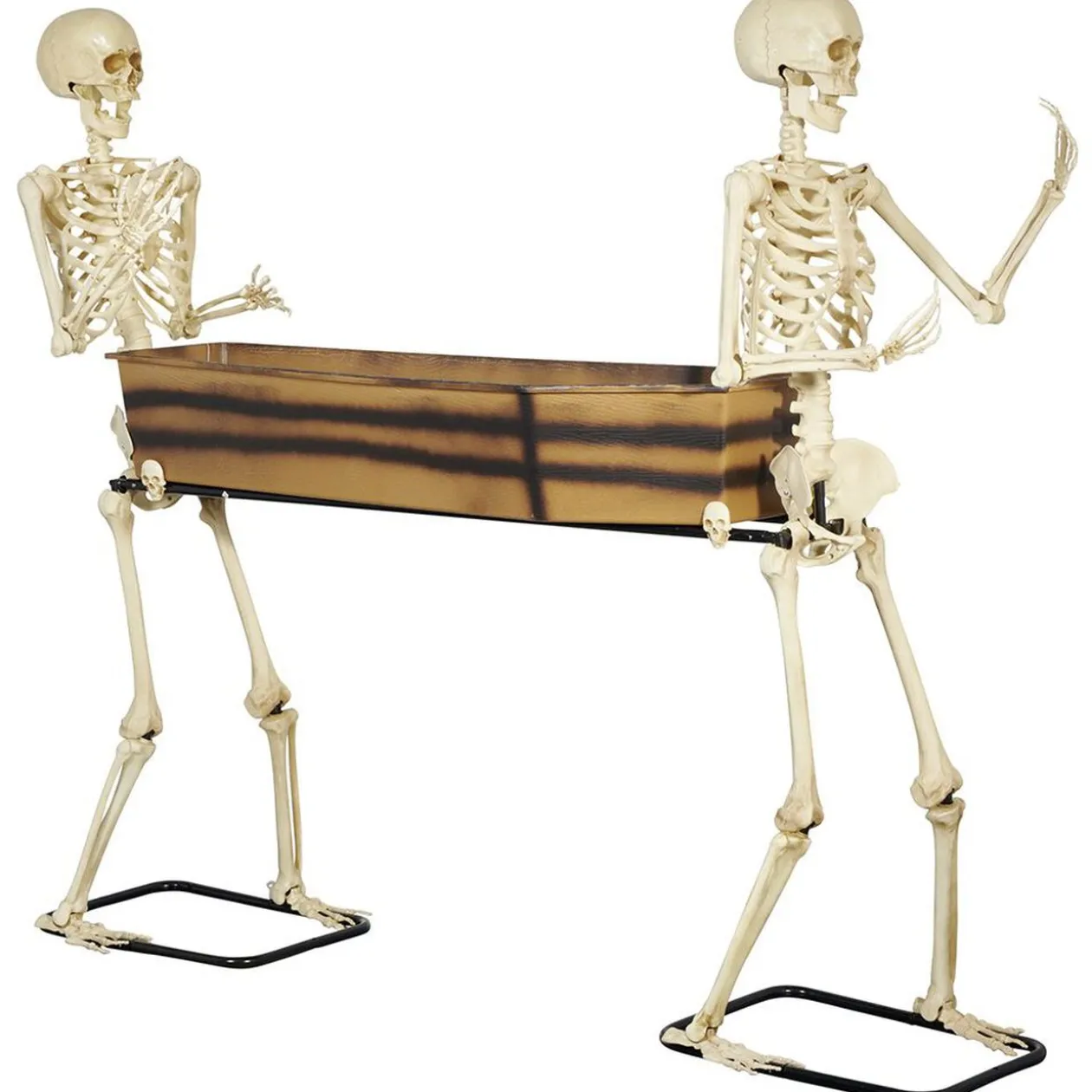 Cercueil XXL maintenu par 2 squelettes L175xl45xH150cm