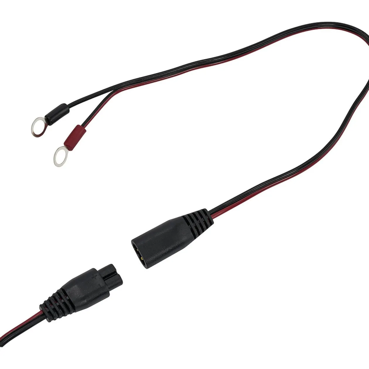 Chargeur de Batterie intelligent auto et moto Profilex 12V/6V 1A