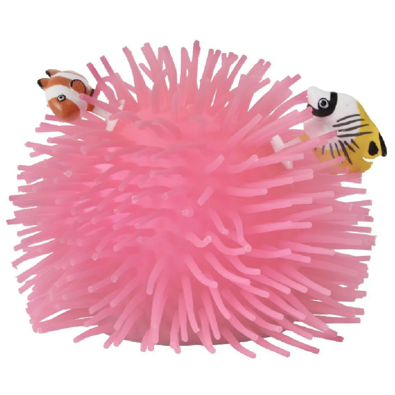 Corail lumineux avec mouvements poissons