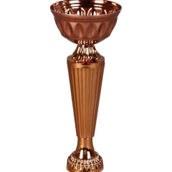 Coupe vainqueur bronze