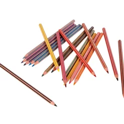 Crayon de couleur Bic Kids x18