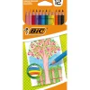 Crayon de couleur BIC pointe résistante x12
