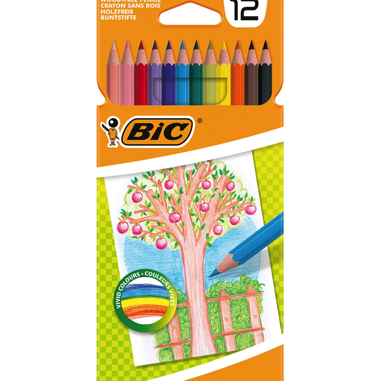 Crayon de couleur BIC pointe résistante x12