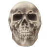 Crâne tête de mort Halloween