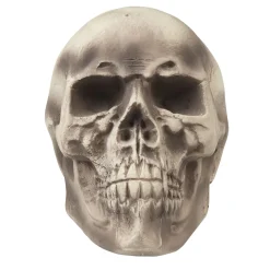 Crâne tête de mort Halloween