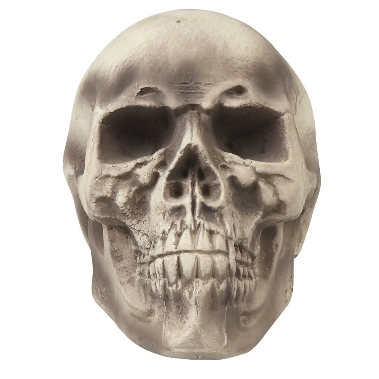 Crâne tête de mort Halloween