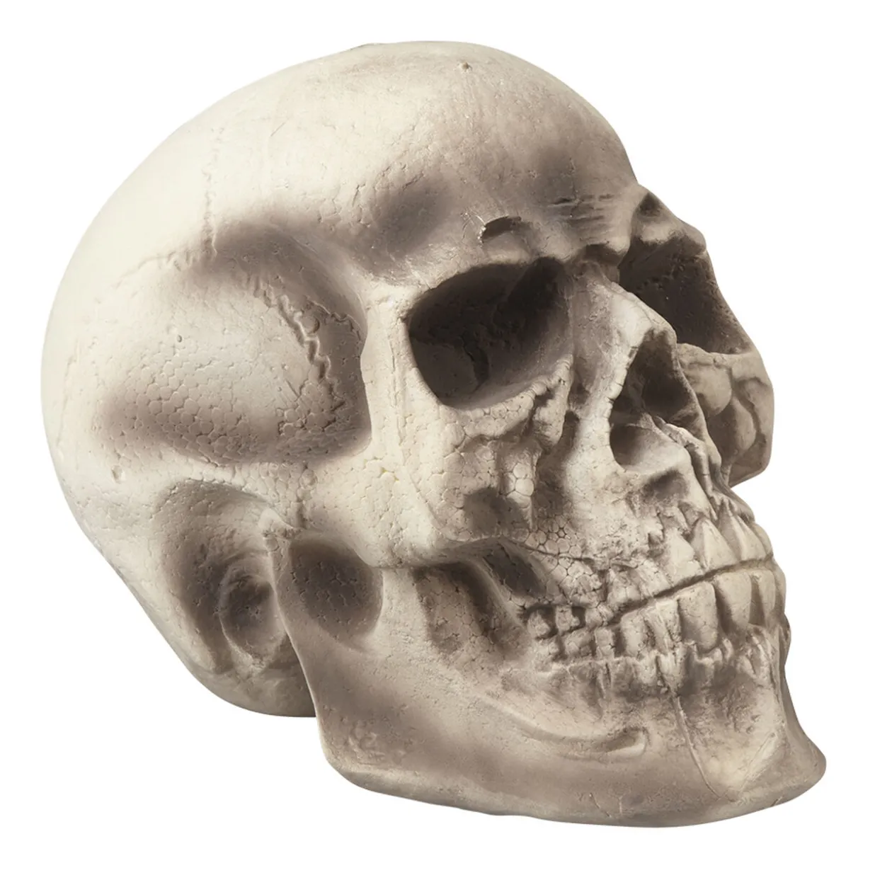 Crâne tête de mort Halloween