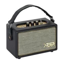 Enceinte bluetooth sans fil Homday X-Pert rétro marron et doré