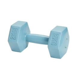 Haltère de sport 2kg
