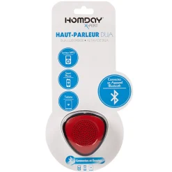 Haut parleur bluetooth Homday