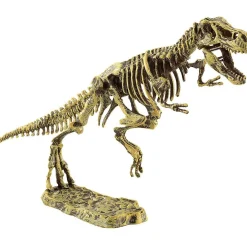 Kit dinosaure + outils d'excavation