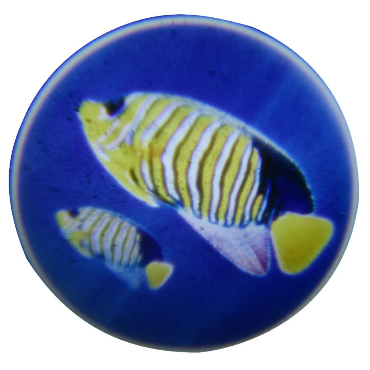 Lampe torche projecteur pour enfant