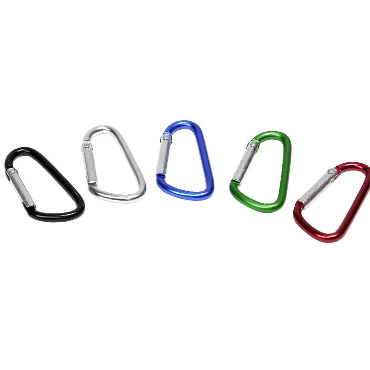 Lot de 5 porte-clés mousquetons