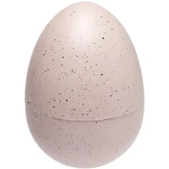 oeuf de dinosaure magique