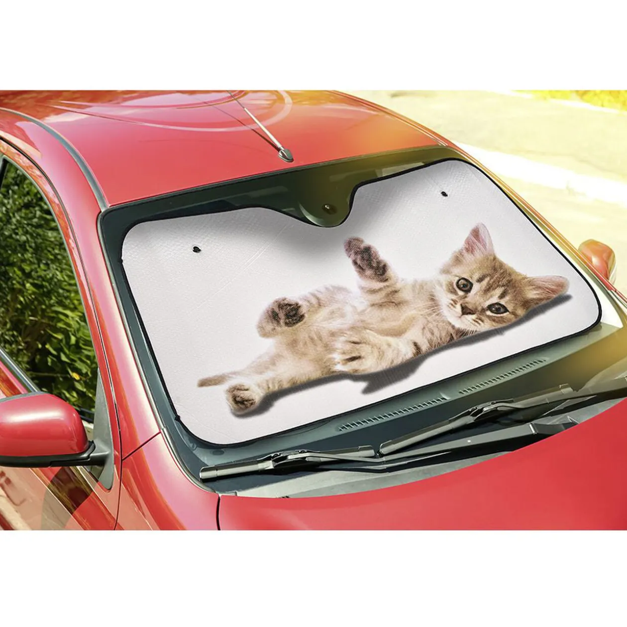 Pare soleil multicolore 140x70 cm