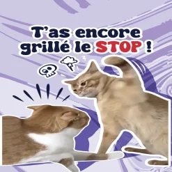 Parfum d'ambiance pour voiture senteur lavande