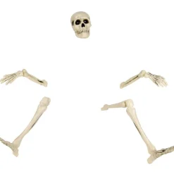 Squelette en morceau