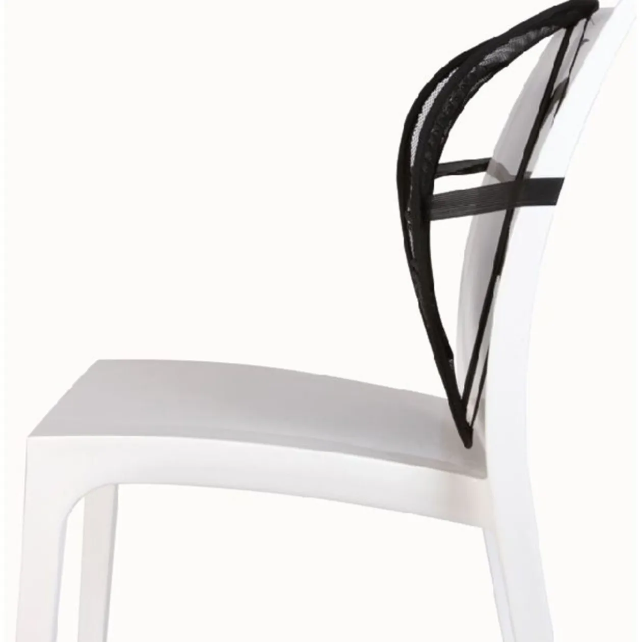 Support lombaire universel