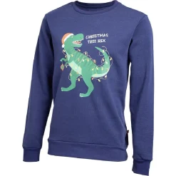 Sweat de Noël homme Christmas Tree Rex bleu et vert