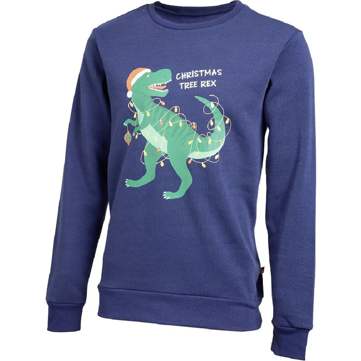 Sweat de Noël homme Christmas Tree Rex bleu et vert