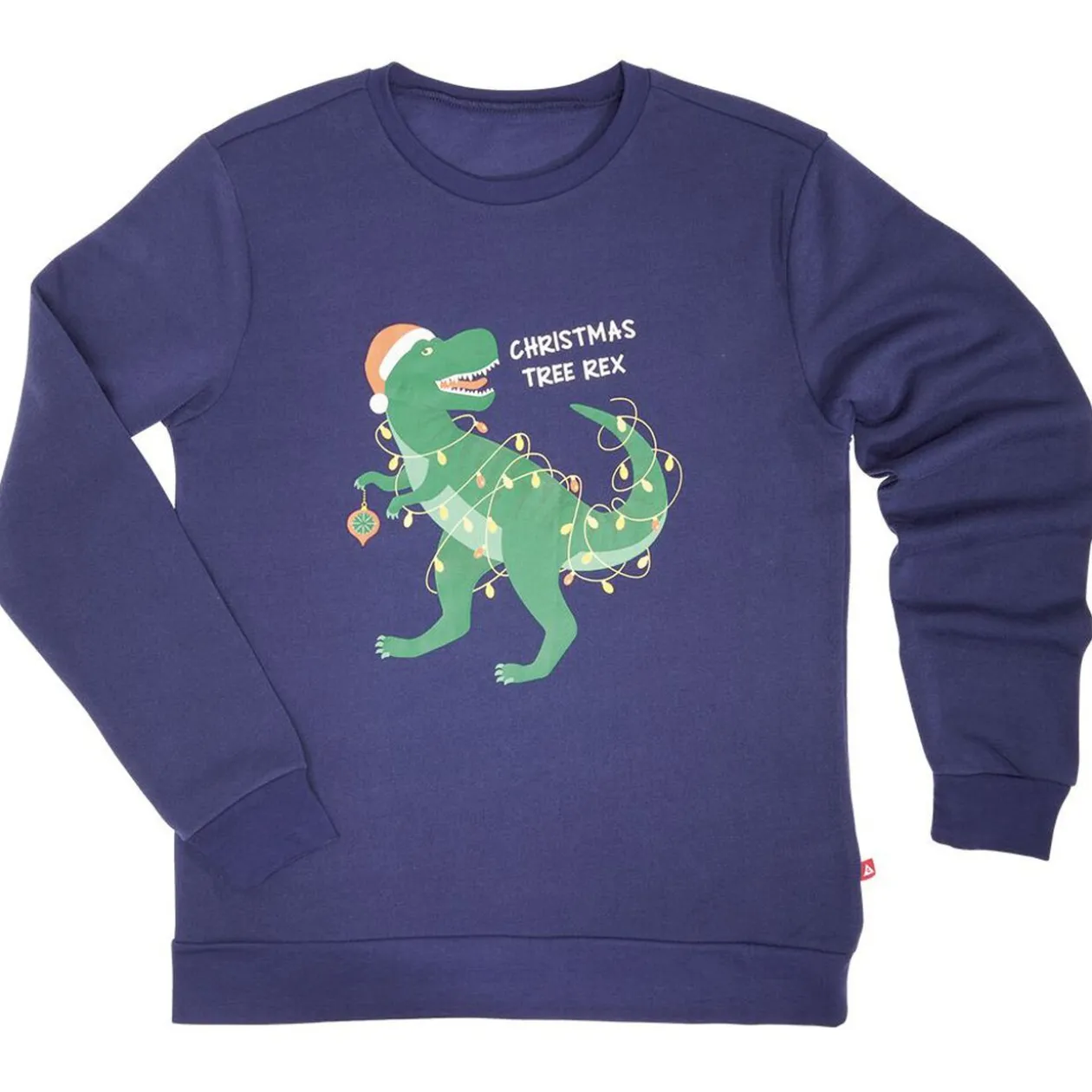 Sweat de Noël homme Christmas Tree Rex bleu et vert