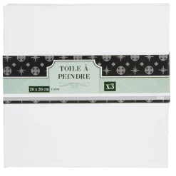 Toile à peindre x3